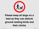 please-keep-all-dogs-on-a-lead-as-they-can-disturb-ground-nesting-birds-and-thei~